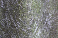 Keckwick fibreglass roof work